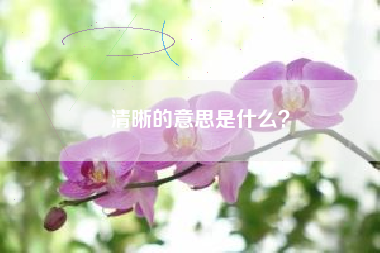 清晰的意思是什么？