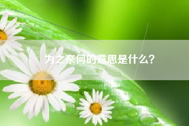 为之奈何的意思是什么？