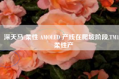 深天马:柔性 AMOLED 产线在爬坡阶段,TM17 柔性产