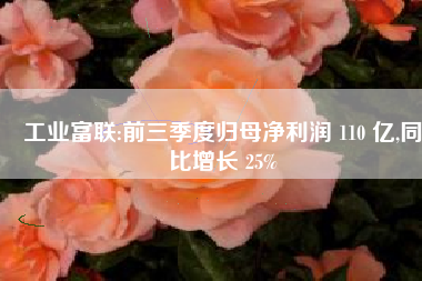 工业富联:前三季度归母净利润 110 亿,同比增长 25%