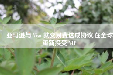 亚马逊与 Visa 就交易费达成协议,在全球重新接受 VIP