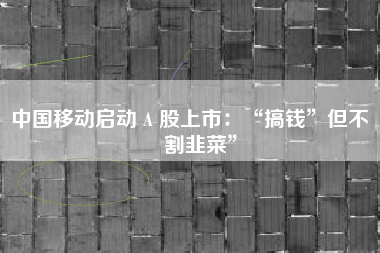 中国移动启动 A 股上市：“搞钱”但不“割韭菜”