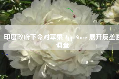 印度政府下令对苹果 App Store 展开反垄断调查