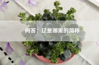 问答：辽是哪里的简称