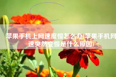 苹果手机上网速度慢怎么办(苹果手机网速突然变慢是什么原因)