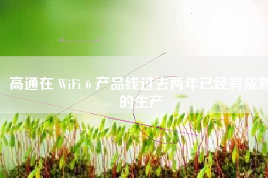 高通在 WiFi 6 产品线过去两年已经有成熟的生产