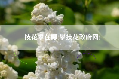 技花攀在哪(攀技花政府网)