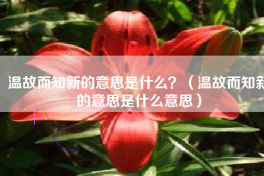 温故而知新的意思是什么？（温故而知新的意思是什么意思）