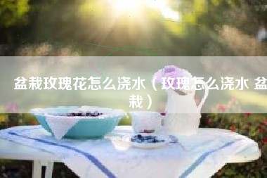 盆栽玫瑰花怎么浇水（玫瑰怎么浇水 盆栽）