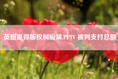 英超赢得版权纠纷案,PPTV 被判支付总额 1