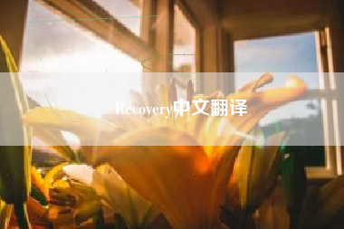 Recovery中文翻译