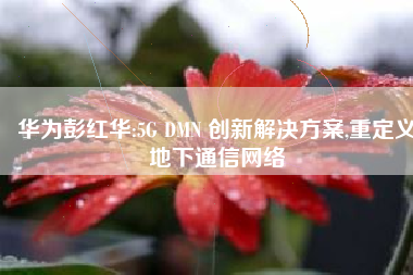 华为彭红华:5G DMN 创新解决方案,重定义地下通信网络