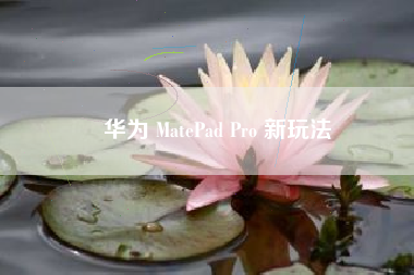 华为 MatePad Pro 新玩法