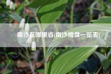 南沙在哪里省(南沙楼盘一览表)