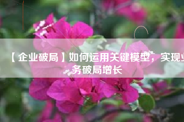 【企业破局】如何运用关键模型，实现业务破局增长