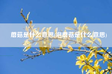 蘑菇是什么意思(泡蘑菇是什么意思)