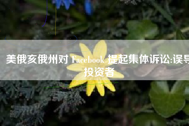 美俄亥俄州对 Facebook 提起集体诉讼:误导投资者