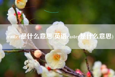 easter是什么意思(英语easter是什么意思)