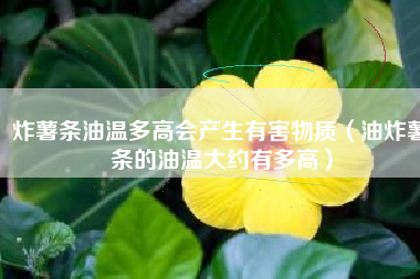 炸薯条油温多高会产生有害物质（油炸薯条的油温大约有多高）