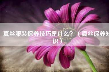 真丝服装保养技巧是什么？（真丝保养知识）