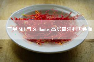 三星 SDI 与 Stellantis 高层匈牙利再会面