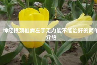 神经根颈椎病左手无力能不能治好的简单介绍