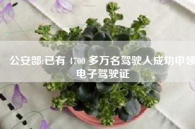 公安部:已有 4700 多万名驾驶人成功申领电子驾驶证