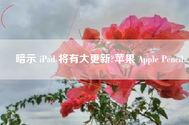 暗示 iPad 将有大更新?苹果 Apple Pencil 