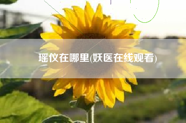 瑶仪在哪里(妖医在线观看)