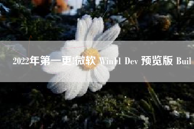 2022年第一更!微软 Win11 Dev 预览版 Buil