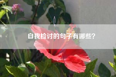 自我检讨的句子有哪些？