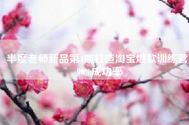 半度老师新品第4期打造淘宝爆款训练营，90%成功率