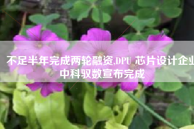 不足半年完成两轮融资,DPU 芯片设计企业中科驭数宣布完成 