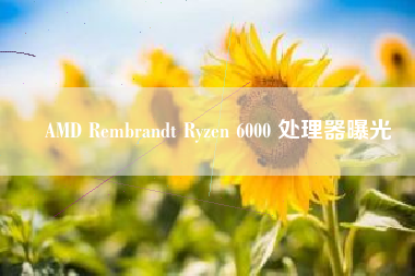 AMD Rembrandt Ryzen 6000 处理器曝光