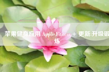 苹果健身应用 Apple Fitness + 更新:升级锻炼