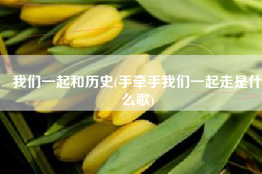 我们一起和历史(手牵手我们一起走是什么歌)