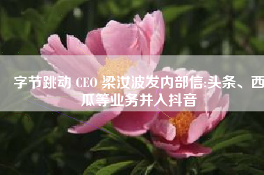 字节跳动 CEO 梁汝波发内部信:头条、西瓜等业务并入抖音