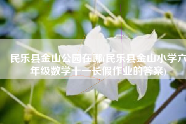 民乐县金山公园在哪(民乐县金山小学六年级数学十一长假作业的答案)