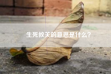 生死攸关的意思是什么？