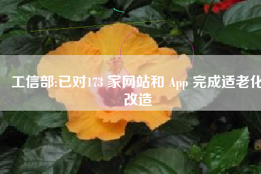 工信部:已对173 家网站和 App 完成适老化改造