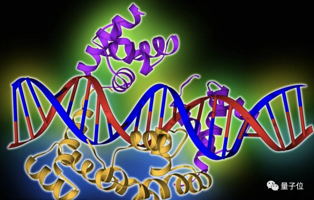 Nature 子刊:用机器学习揭露人类基因调控背后的“语法”