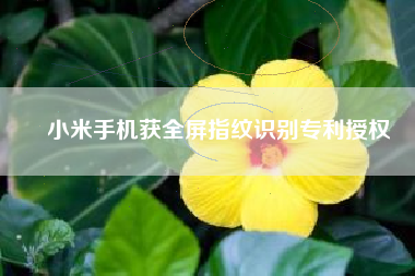 小米手机获全屏指纹识别专利授权