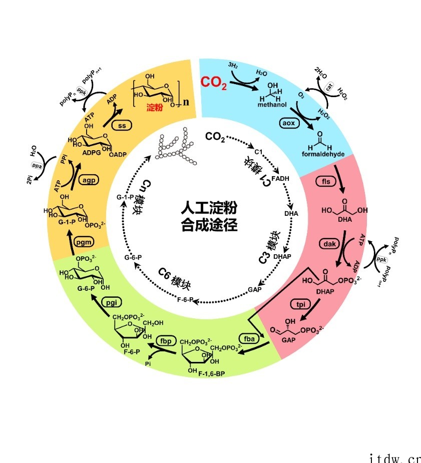 2021 年度中国科学十大进展公布:天问一号、中国空间站等入