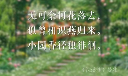 无可奈何花落去下句诗是什么？