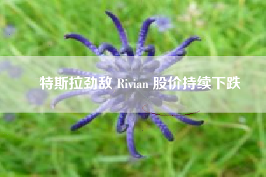 特斯拉劲敌 Rivian 股价持续下跌