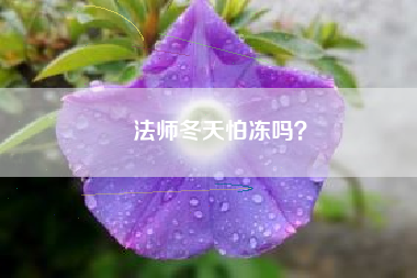 法师冬天怕冻吗？