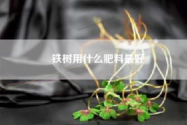 铁树用什么肥料最好