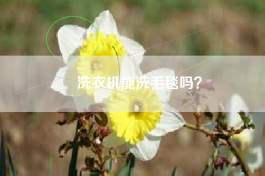 洗衣机能洗毛毯吗？