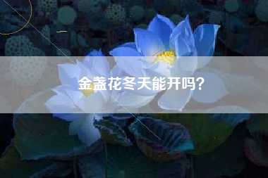 金盏花冬天能开吗？