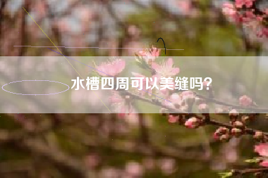 水槽四周可以美缝吗？